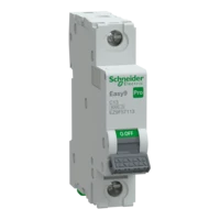 SCHNEIDER EASY9 PRO Kismegszakító,autómata 1P, C, 13A EZ9F57113