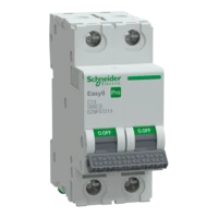 SCHNEIDER EASY9 PRO Kismegszakító,autómata 2P, C, 13A EZ9F57213