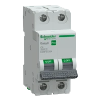 SCHNEIDER EASY9 PRO Kismegszakító,autómata 2P, C, 4A 6kA IP20 EZ9F57204