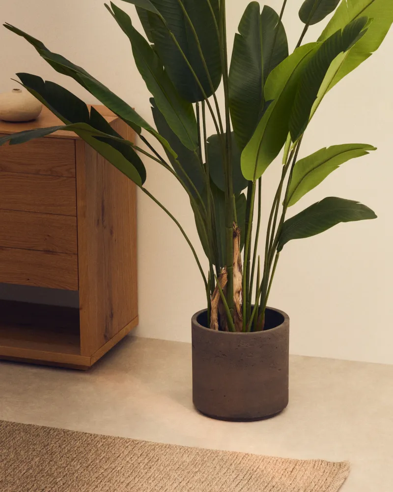Sintina 3 db szürke cement és üveg növénycserép szett Ø 23 cm / Ø 27,5 cm / 32 cm
